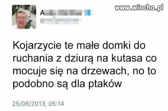 Inteligent?