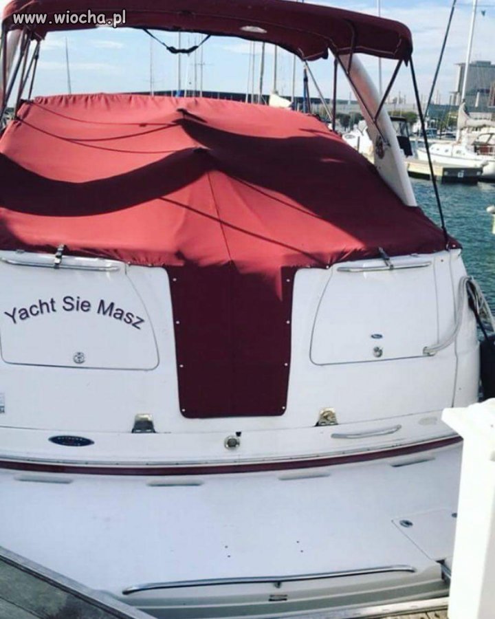Yacht 