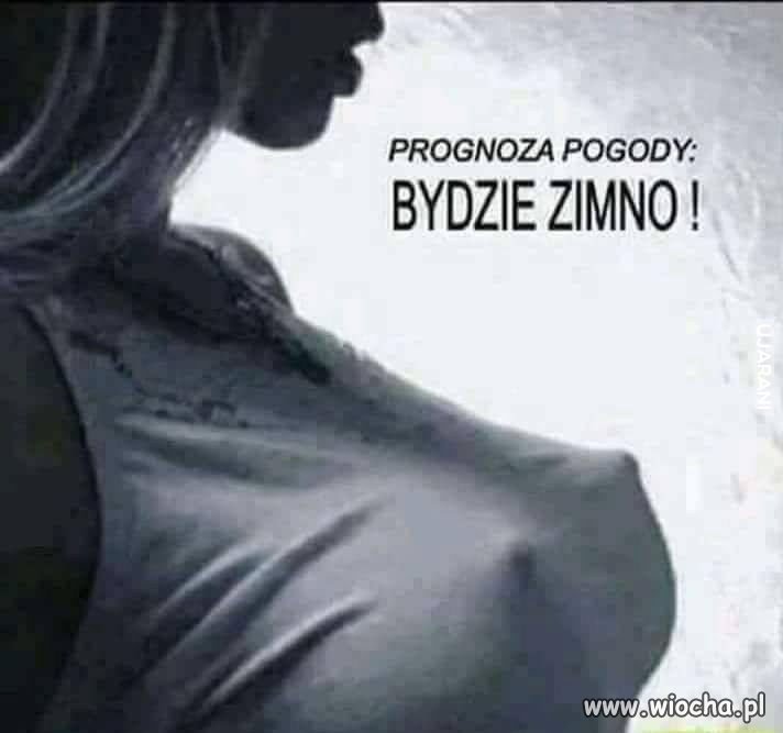 Prognoza pogody