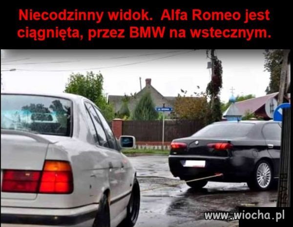 Nietypowy widok