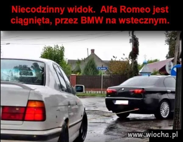 Nietypowy widok