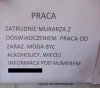 Ogłoszenia Holandia