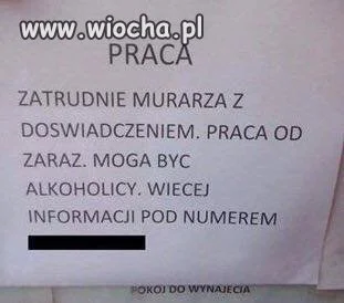 Ogłoszenia Holandia