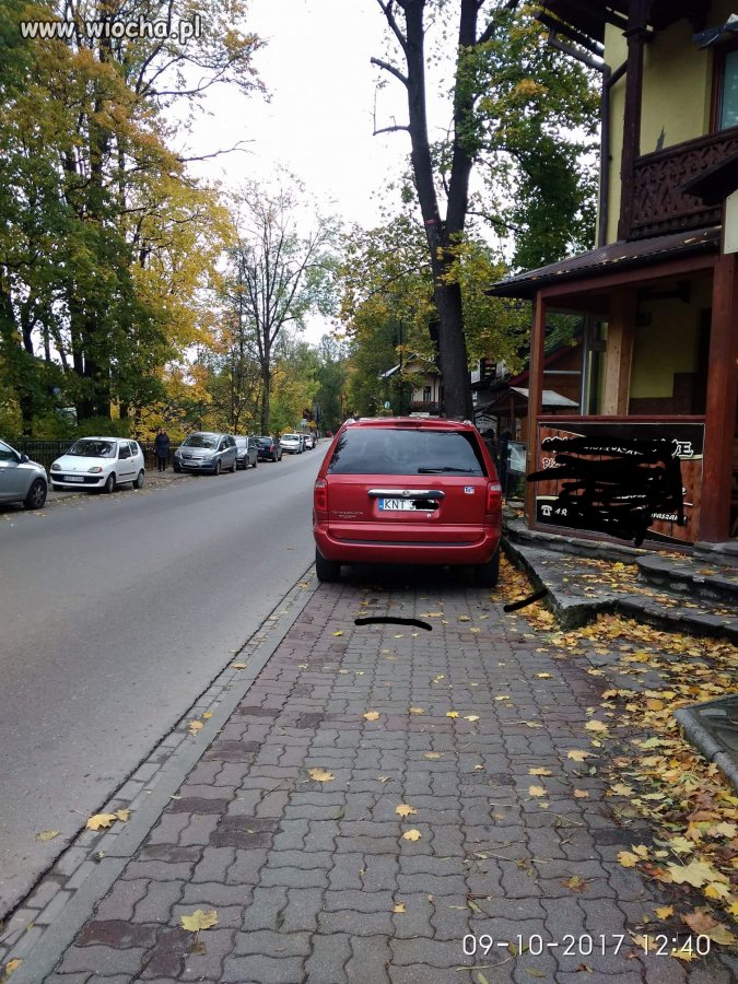 Mistrzyni parkowania Szczawnica