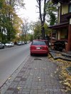 Mistrzyni parkowania Szczawnica