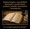 Z tym trudno się spierać. 
