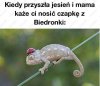 Kiedy mama...
