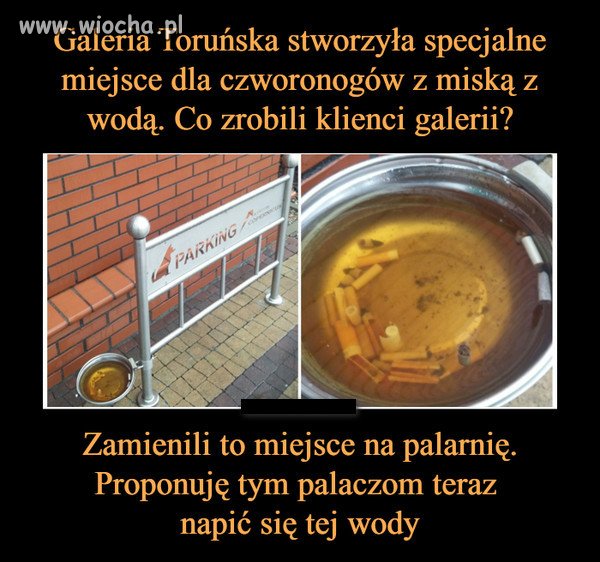 Bez komentarza