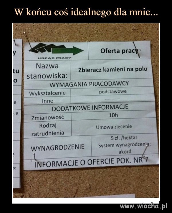 Praca dla zbieracza