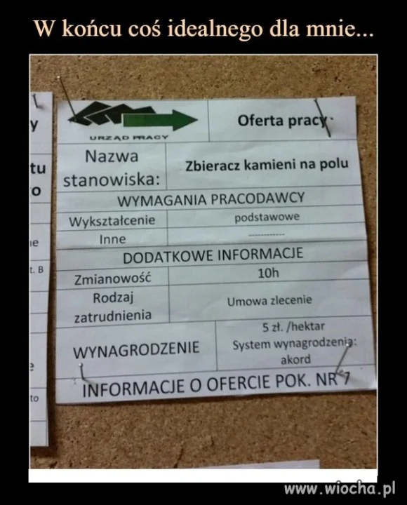Praca dla zbieracza