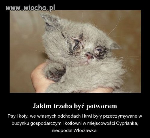 Kolejny przykład 