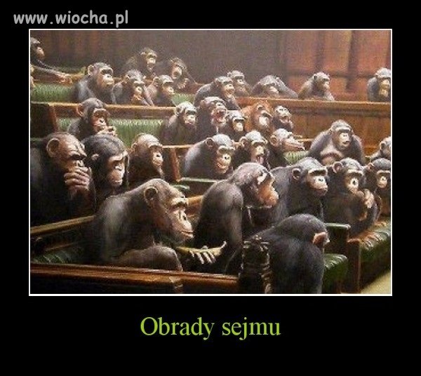 Obrady sejmu bez cenzury i photoshopa.