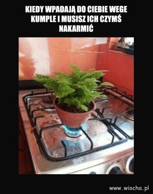 Vege też musi jeść