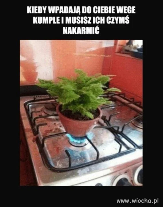 Vege też musi jeść