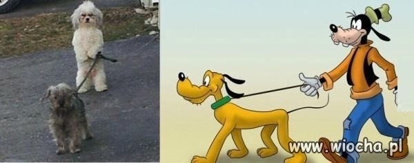 Logika Disneya