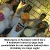 Łyso?