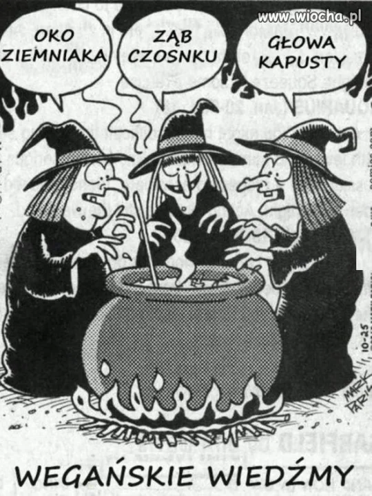 Wegańskie wiedźmy