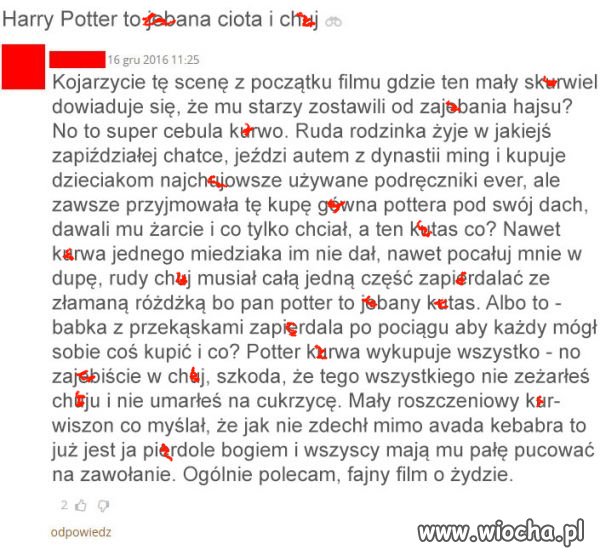 Recenzja 