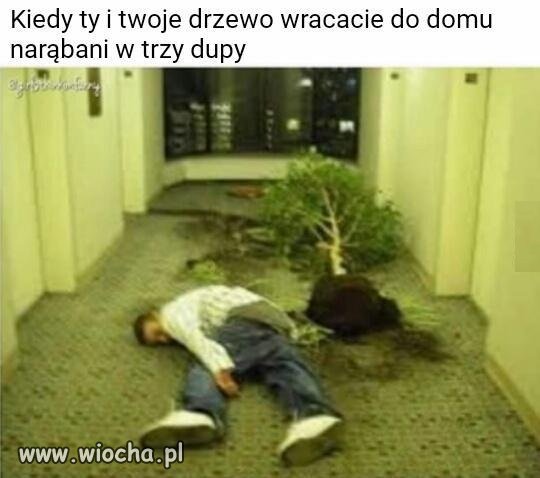 To była dobra impra