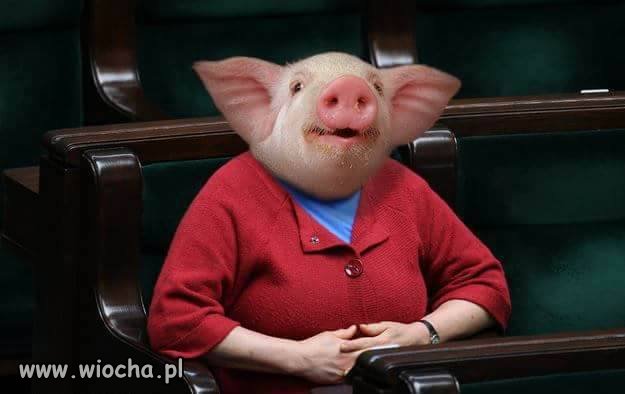 Zgadnij kto to ?