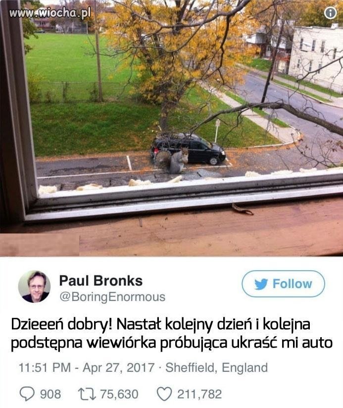 Codziennie to samo.