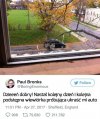 Codziennie to samo.