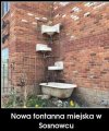 Fontanna miejska...