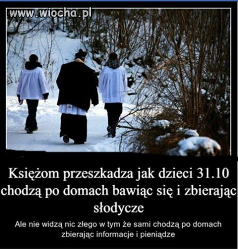 Bo zbierają