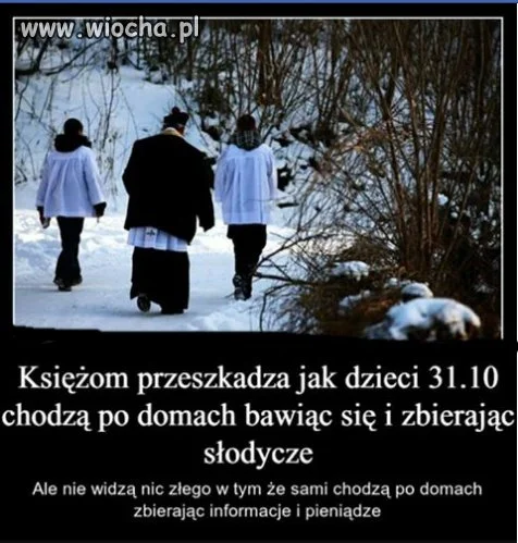 Bo zbierają