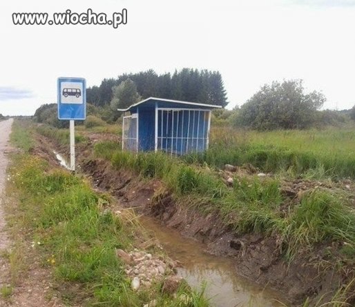 Tymczasem...
