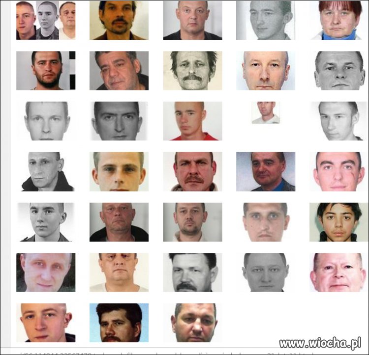 Policyjna galeria poszukiwanych pedofilów