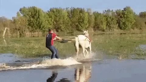 Ha ha ha...