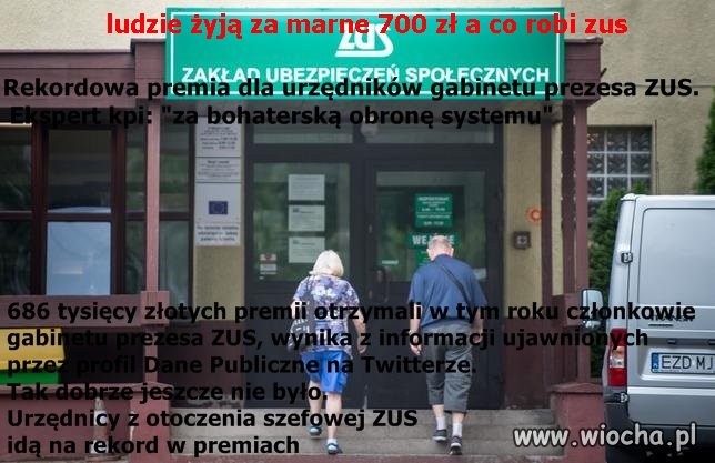 To są już jaja co robi zus