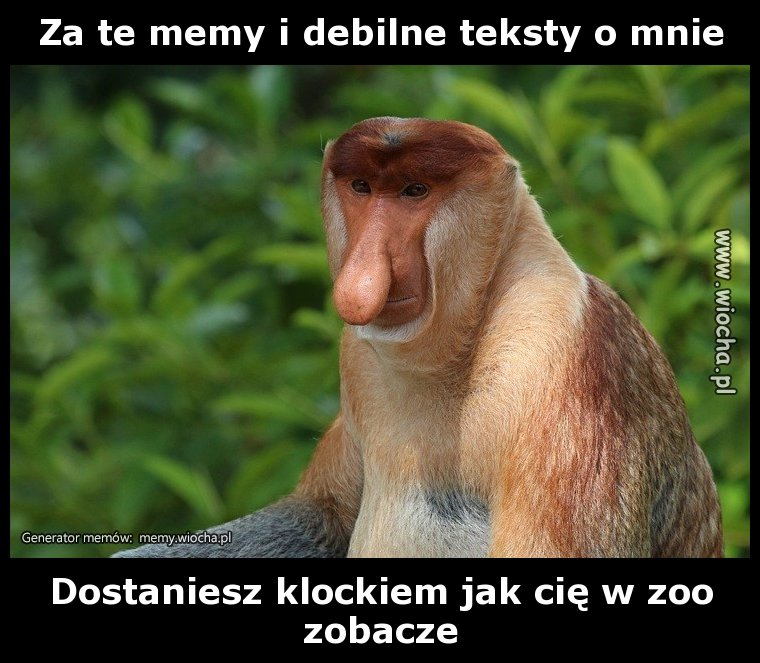 Za te memy i debilne teksty o mnie