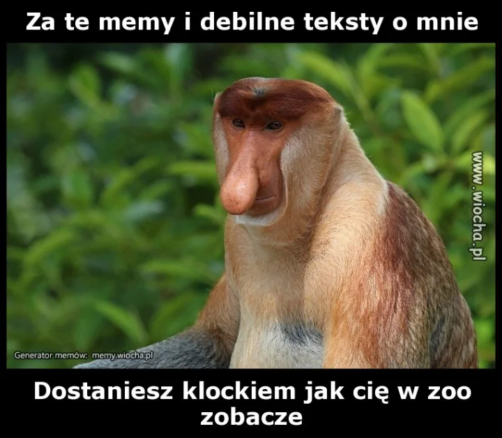Za te memy i debilne teksty o mnie