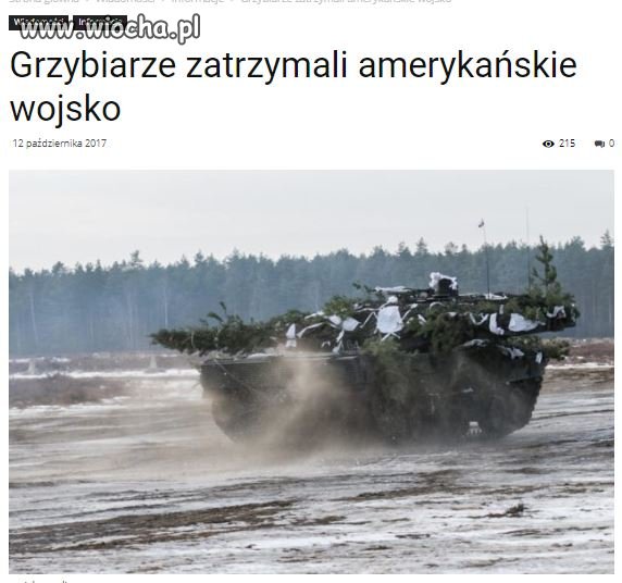 Po co nam obrona terytorialna 