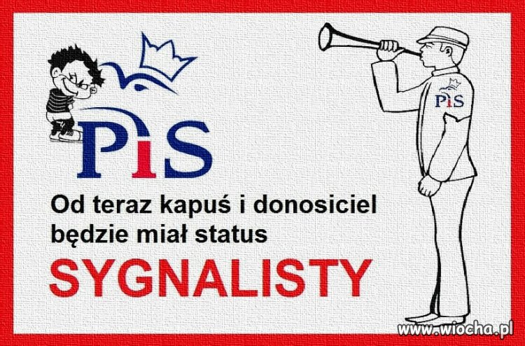 Sygnalista