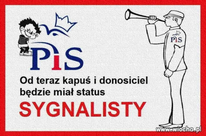 Sygnalista