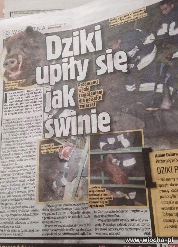 Ło matko,co jeszcze wymyślą