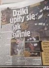 Ło matko,co jeszcze wymyślą