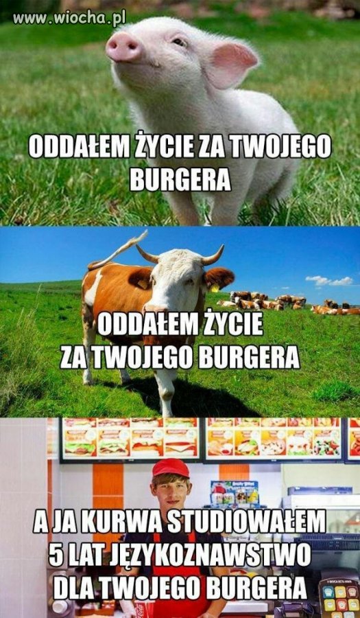 A mówią że zwierzęta cierpią.