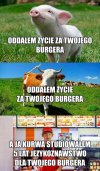 A mówią że zwierzęta cierpią.