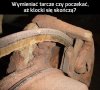 Co radzicie