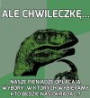 Ale chwileczkę...