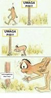 Uwaga PiS