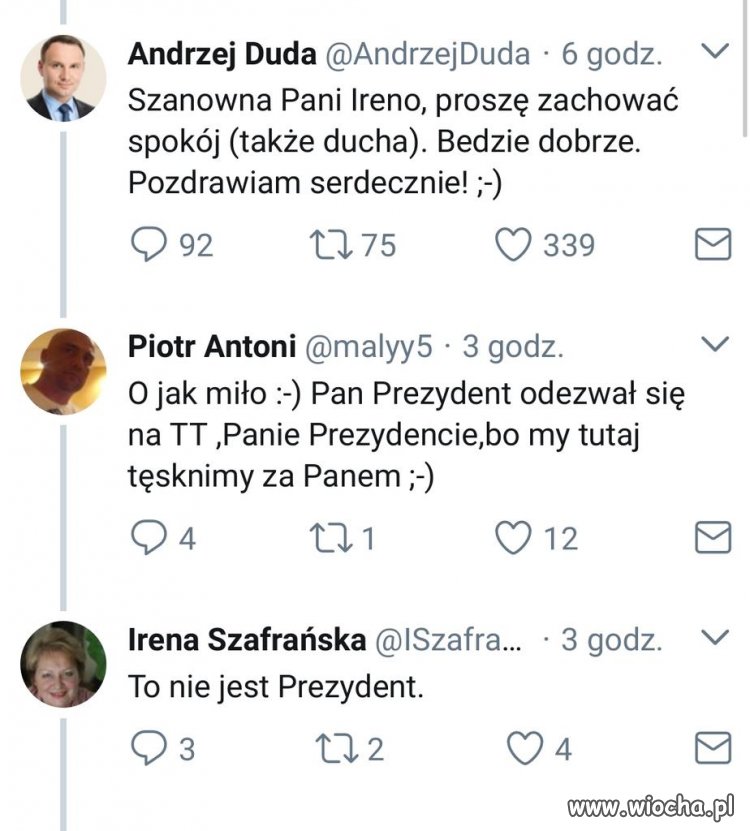 Pani Irenka
