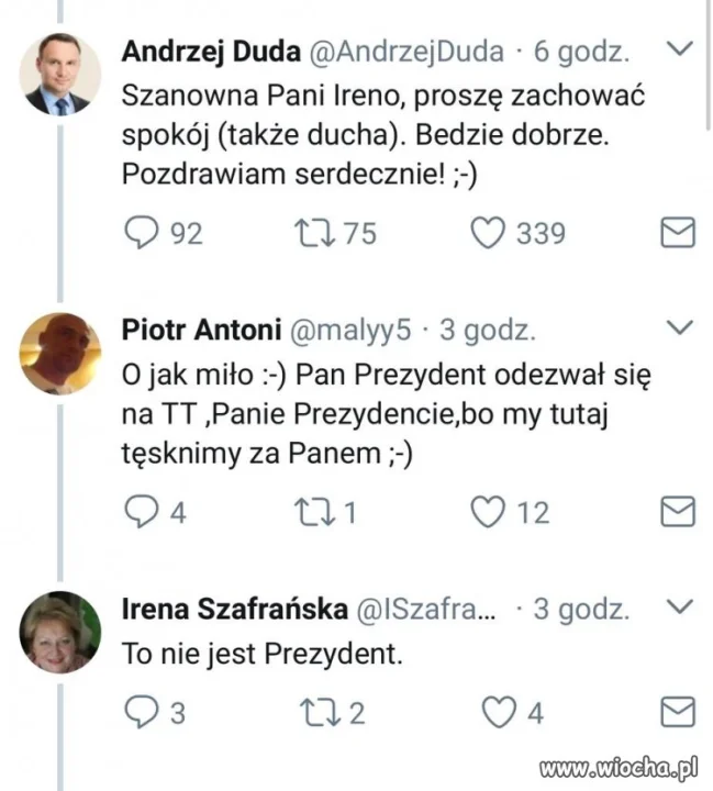 Pani Irenka