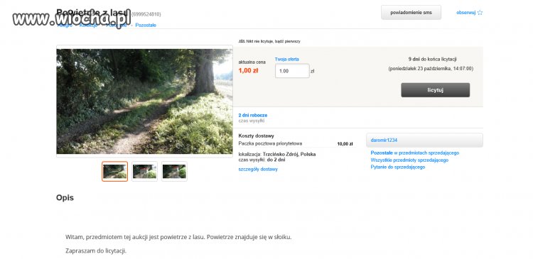 Powietrze z lasu na allegro