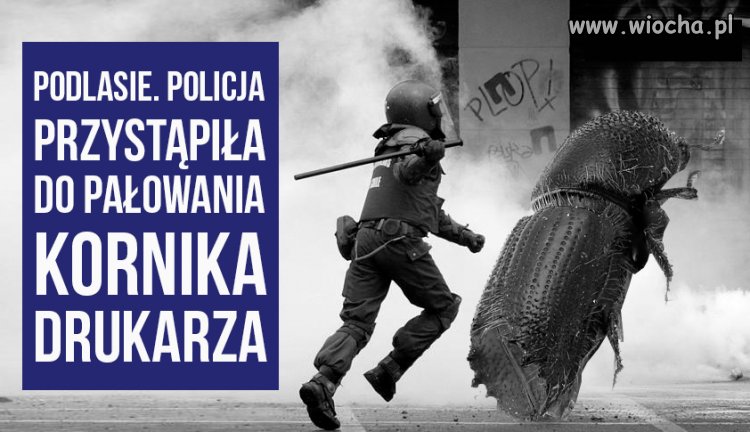 A w Puszczy 