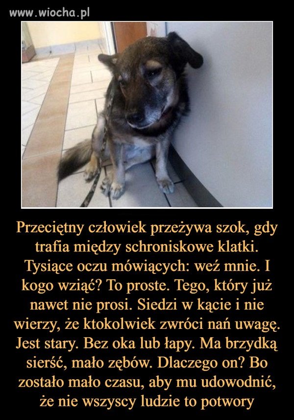 Jestem za !!!